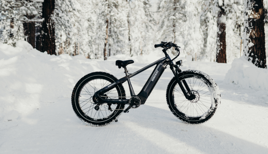Electric Bicycle Fat Tires