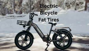 Electric Bicycle Fat Tires